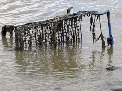 abandoned supermarket shopping trolleys submerged on the Thames in Deptford