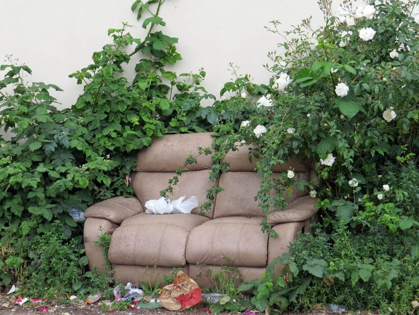 Picture of flytipped sofa   surrounded by litter with greenery growing over it