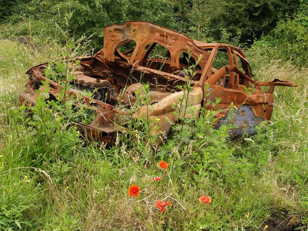 Poppies and undergrowth around a burnt out car in West London