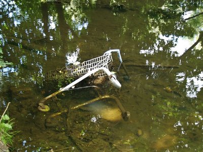 Dumped and abandoned supermarket shopping trolley in the Longford River in Hanwell