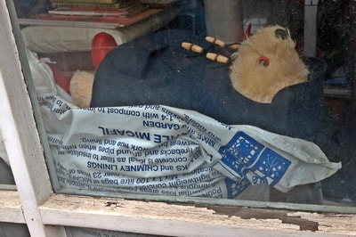 Redundant Paddington Bear toy in window of closed down shop