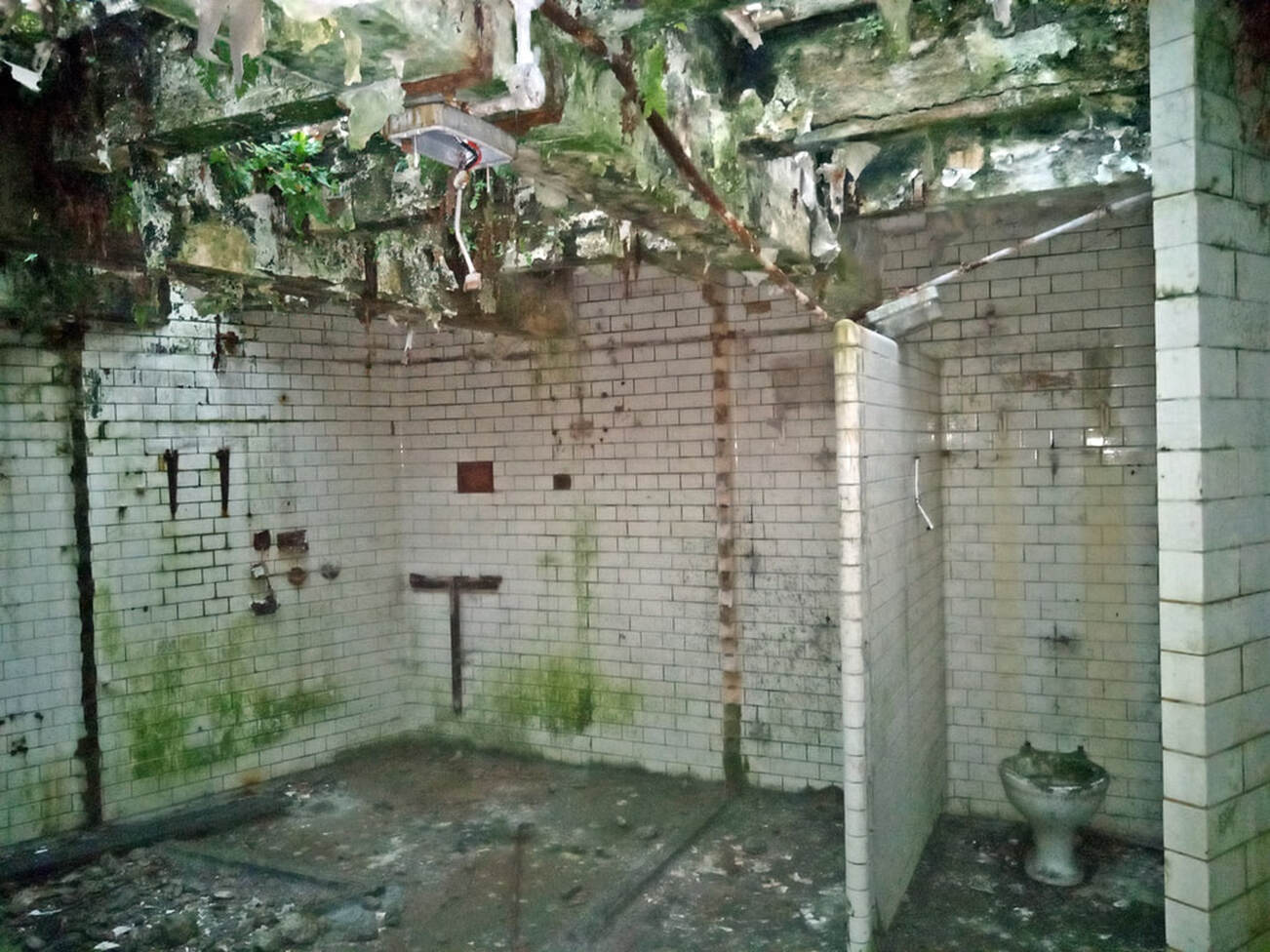 Picture of derelict London public toilets disused for several decades