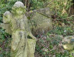 Overgrown  Nunhead Cemetery near Peckham 