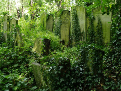 Tower Hamlets Cemetery in Mile End