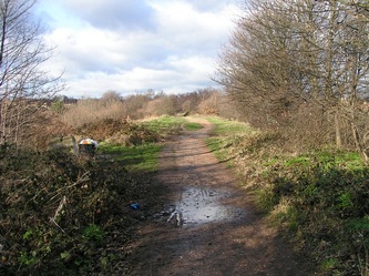 Trackbed of Northern Heights railway line  converted into Parkland Walk