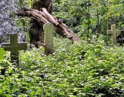 The abandoned and decaying Old Barnes Cemetery in the middle of the woods