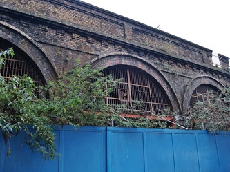 Buddleia and boarded up railway arches in South London 