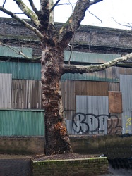 Corrugated iron boarded up railway arches in South London