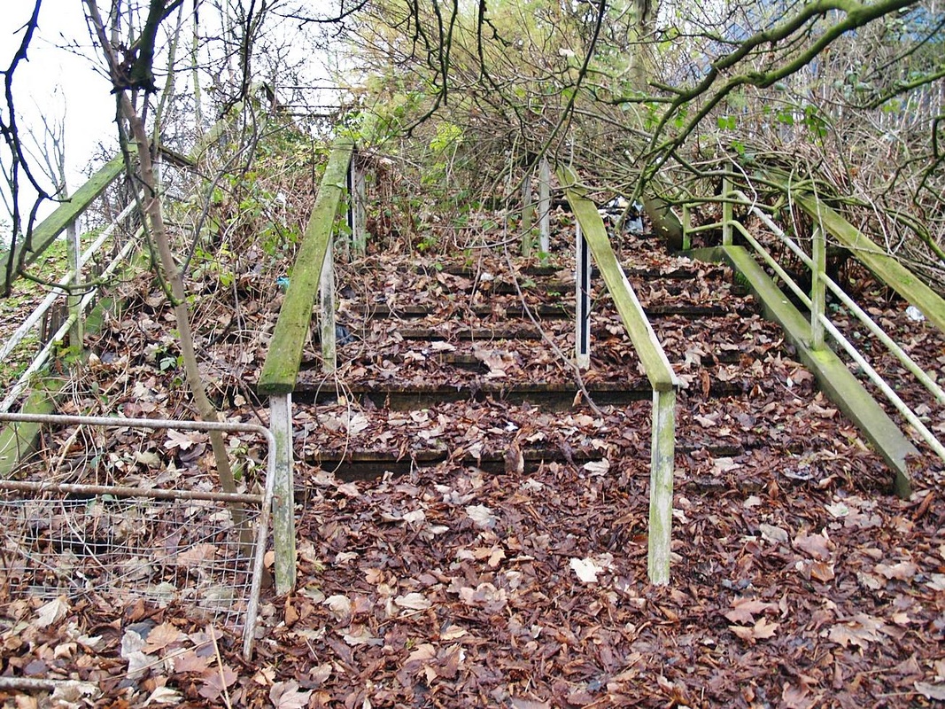 Overgrown wooden stairway in Crystal Palace Park 