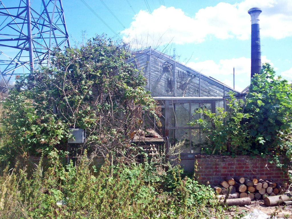 Overgrown abandoned glasshouse at Beckton Sewage Works with pylons and industrial chimney in background