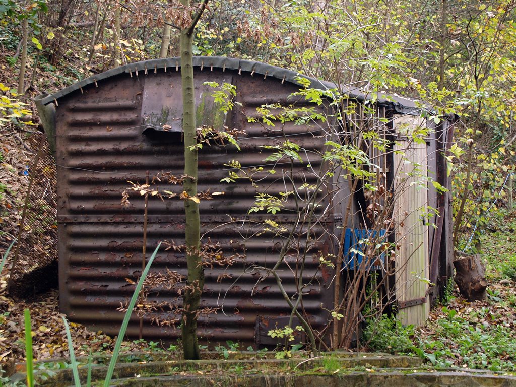 Brookmill Road Nature reserve, St Johns,SE8. 
Dilapidated railway waggon on a disused railway embankment