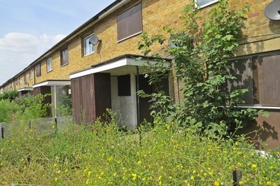 Overgrown abandoned properties in East London in London Borough of Newham