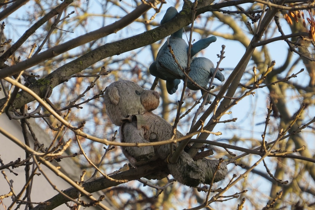 Remains of toys in a tree on vacant works in Gloucester Road Croydon (at the St James Road end)