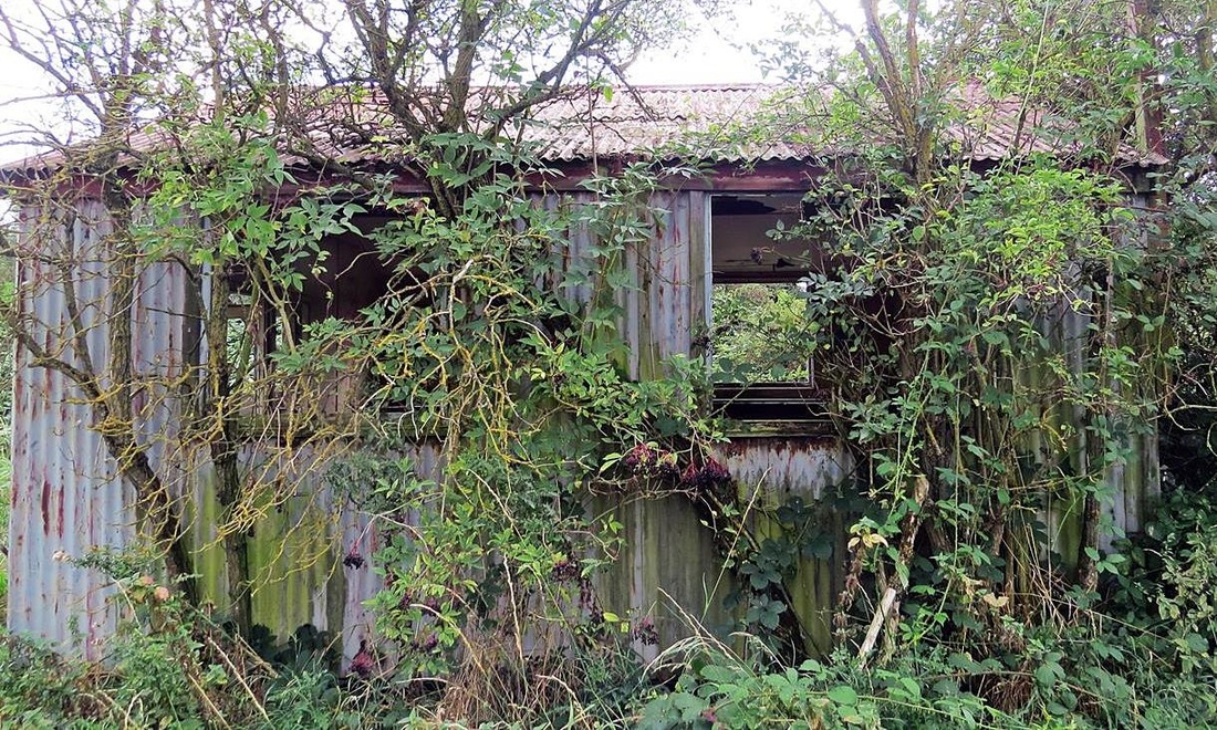 Picture of derelict corrugated iron sheds of the Wells firework factory in Dartford