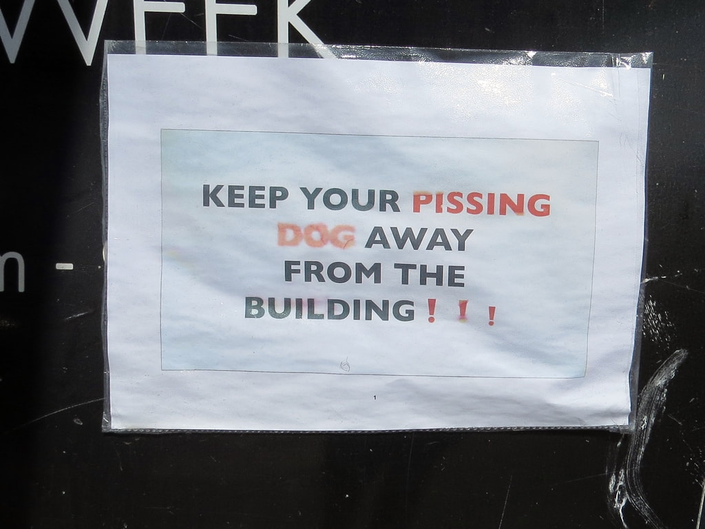 Keep Your Pissing Dog Away From The Building !!! (notice in Purley)