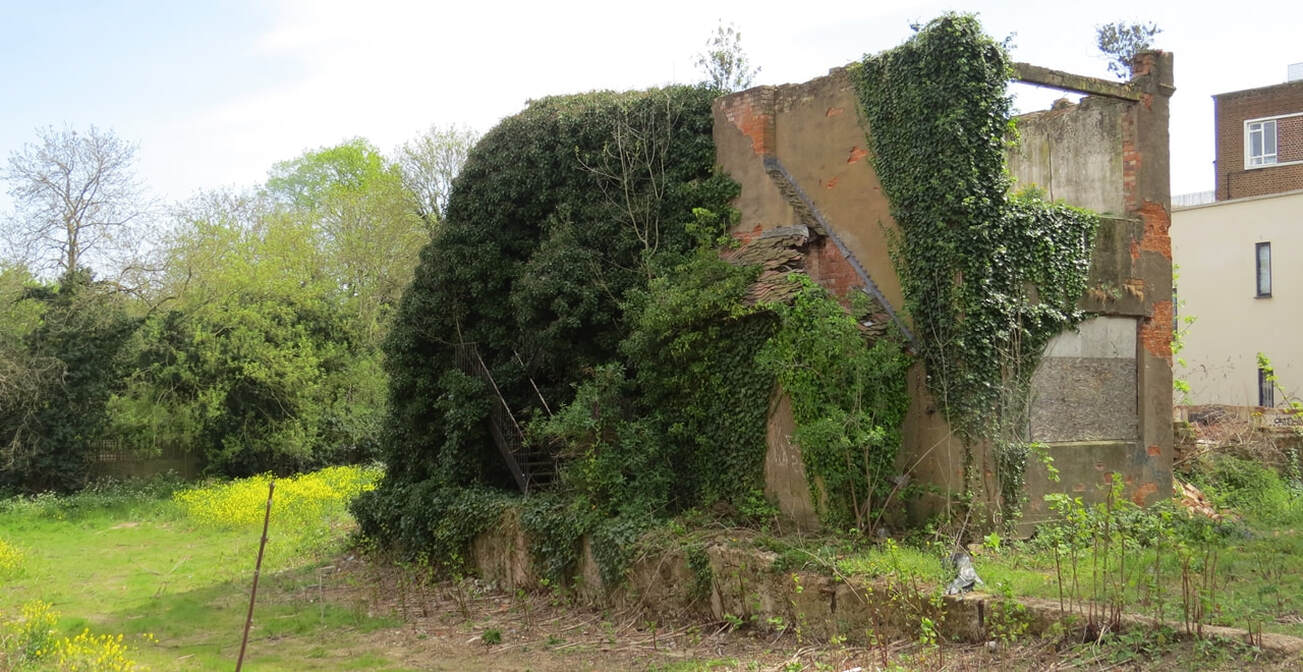 Picture of overgrown remains of Derelict House in Mapesbury Rd,Brondesbury,NW2 
