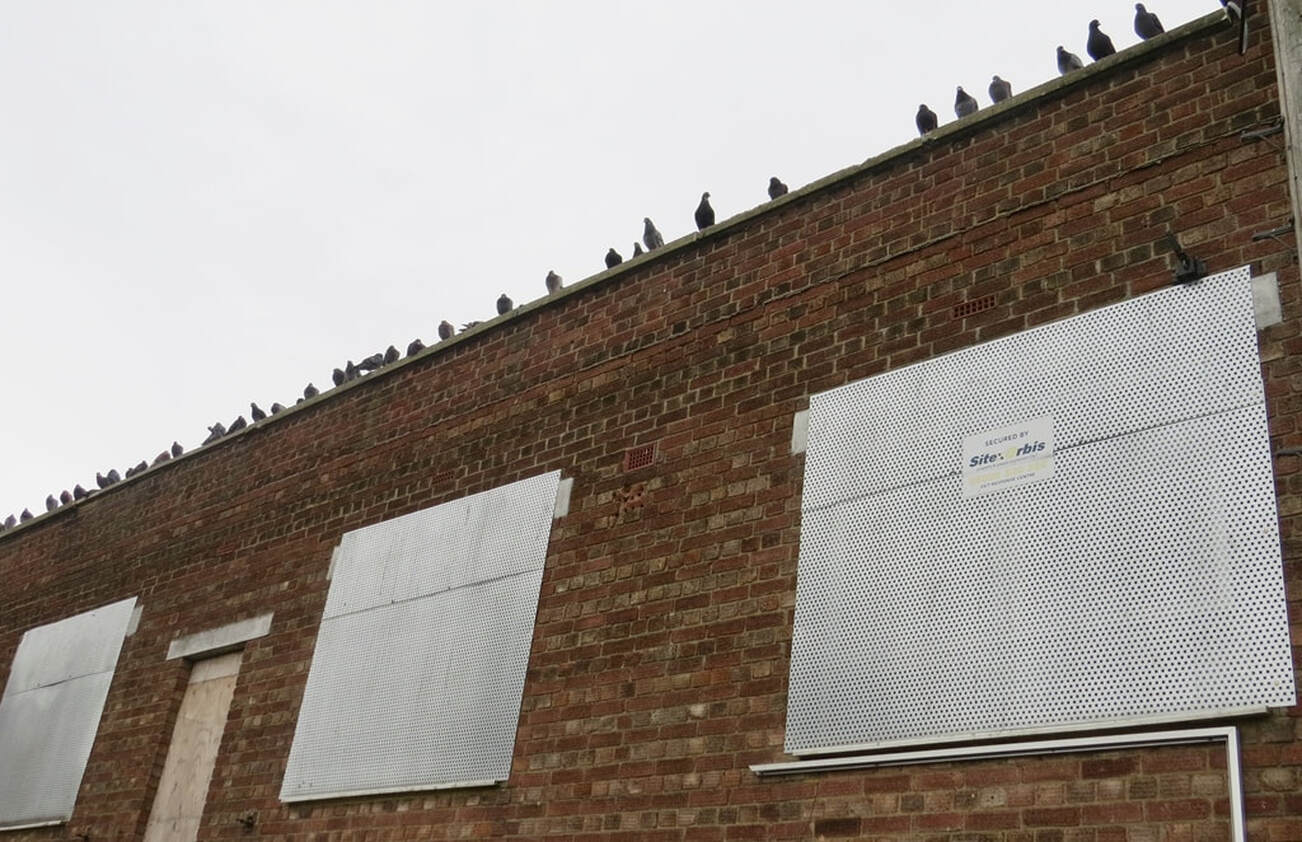 Pigeons on the roof of a steel shuttered derelict building in Greenford in West London