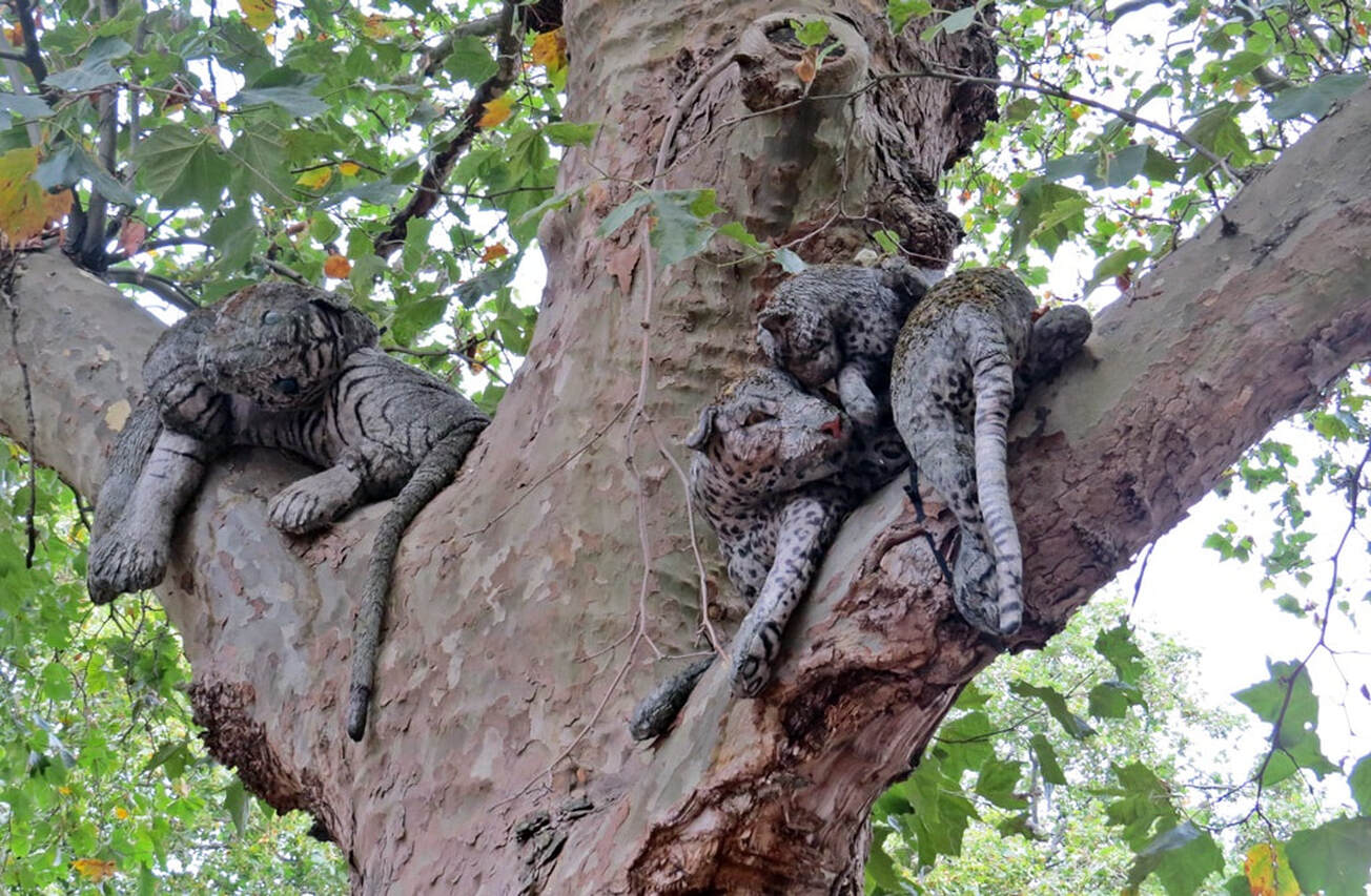 Stuffed toy tigers in the trees of Southwark Park, Rotherhithe