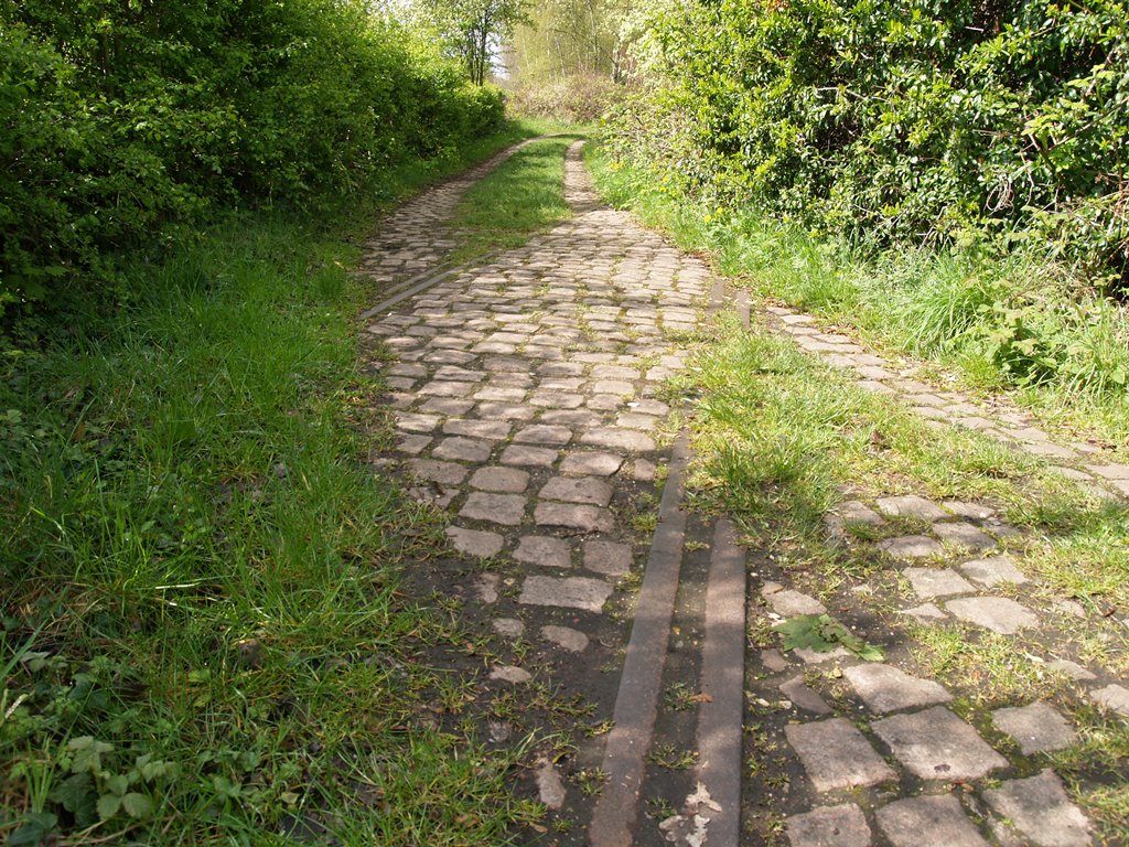 Remains of railway track in Railway Fields, Haringey, North London which was formerly a  railway goods yard.