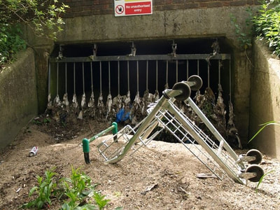  Department for Environment, Food & Rural Affairs advises councils to use specialist contractors and liaise with the Environment Agency to remove trolleys from rivers and waterways to contact the Canals and Rivers Trust about trolleys found in their inland waterways.