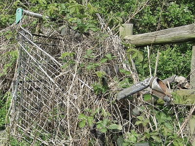 Nature takes over abandoned shopping trolley in London