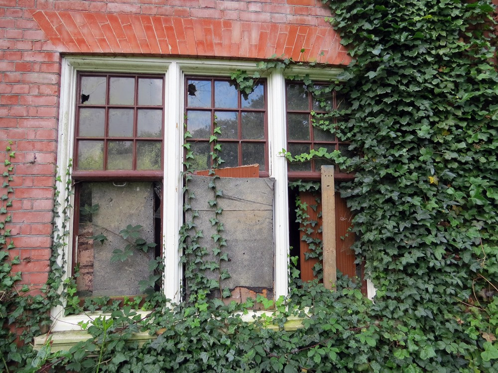 Wrecked ivy covered house in South London