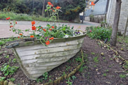 Picture of disused boat now a flower bed as a memorial to a former member of Greenwich Yacht Club