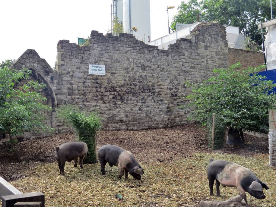 These are remains of the Congregational Church  and now forms part of Stepney City Farm