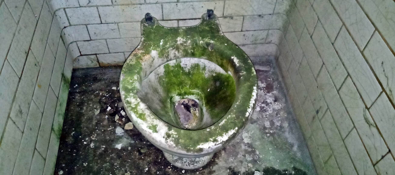 Picture of decaying toilet bowl at disused public WC in North London
