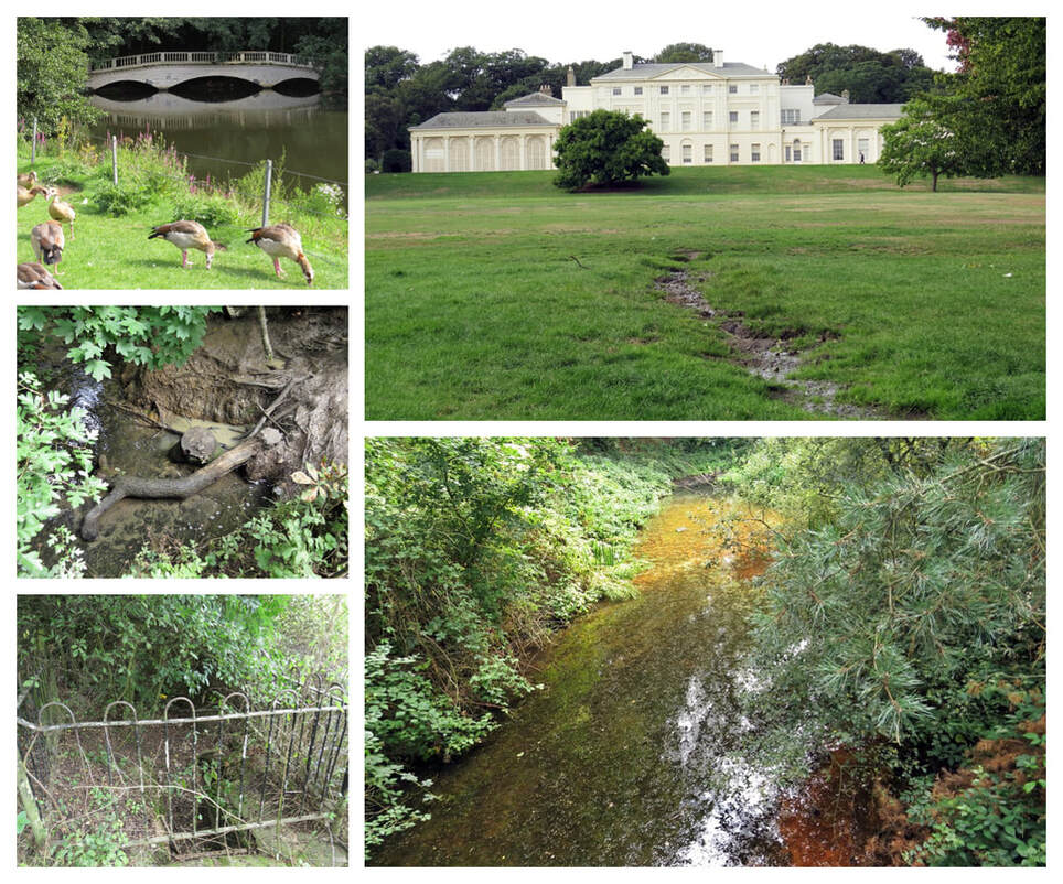 The guided walking tour passes Kenwood House a former stately home on the northern boundary of Hampstead Heath.Within, it's grounds we look at some of the headstreams that feed the River Fleet, one the largest of London's subterranean rivers.