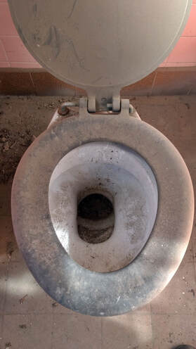 George Jennings was an English sanitary engineer and plumber who invented the first public flush toilets.