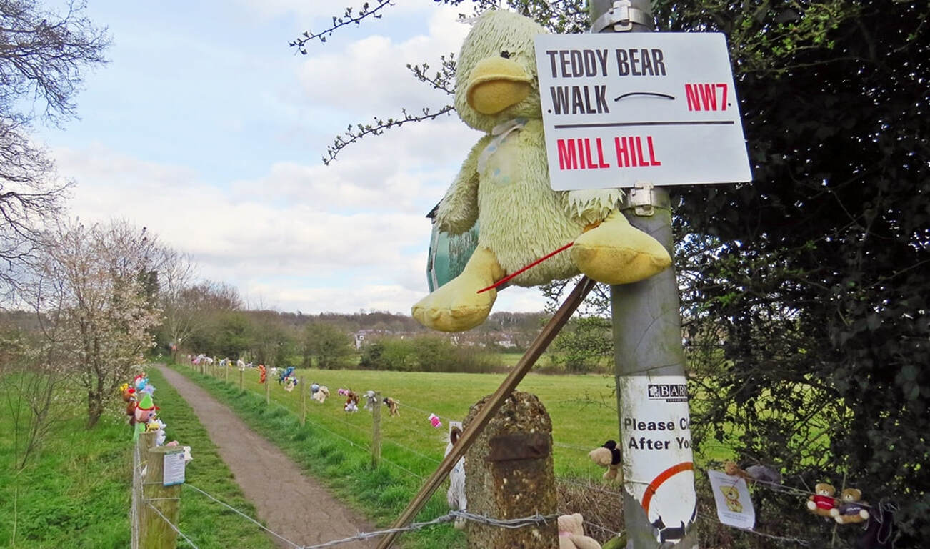 cuddle duck toy with signpost for Teddy Bear walk, Mill Hill, NW7 with footpath lined with cuddly toys in the background of fields