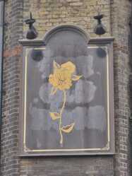 Faded pub sign of the closed down Old Rose pub  in Wapping