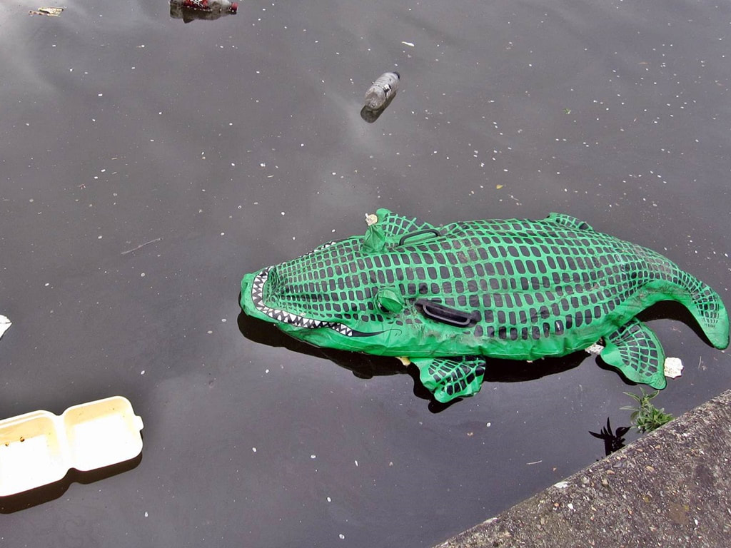 abandoned Inflatable toy alligator in Regents Canal in Hackney
