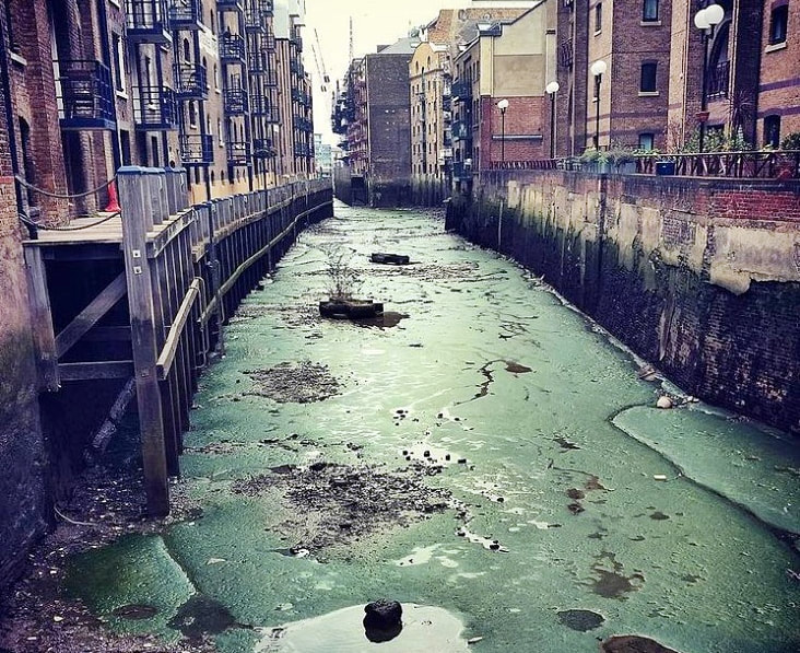 Green waters at low tide of St Saviours Dock the mouth of the Neckinger in Bermondsey
