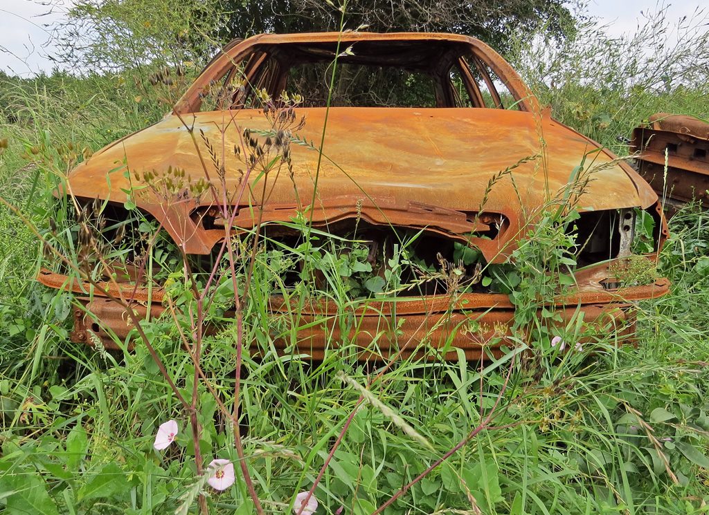 Nature takes over abandoned burnt out vehicle in Benfleet, Essex