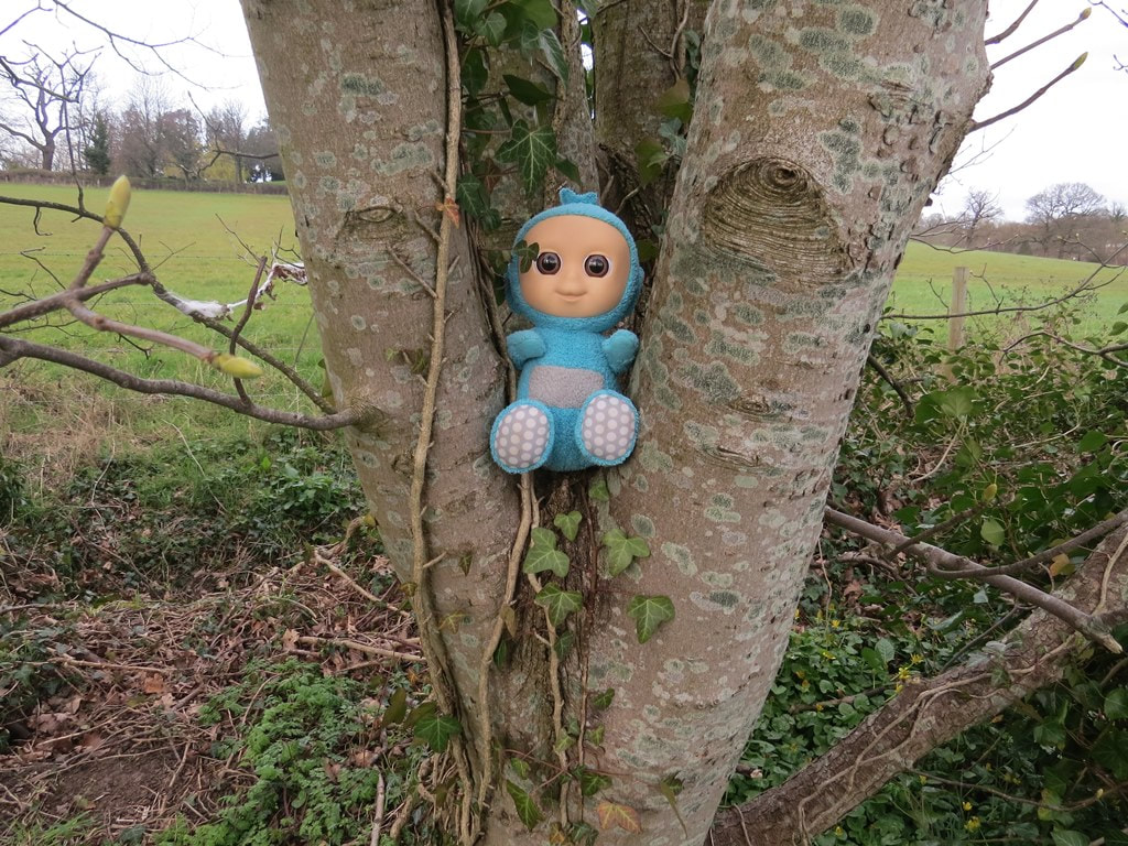 Abandoned blue Teletubbies toy in a tree in North London Teddy Bear Walk