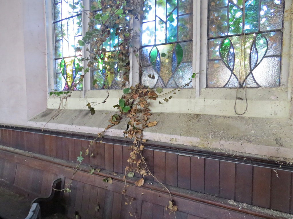 nature takes over vacant church in South London 