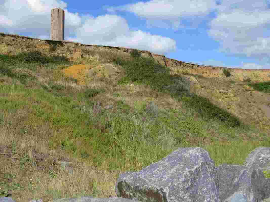 ​Erosion of the cliffs at Walton-on-the-Naze continues to be rapid (at about 2 metres per year) threatening the the wildlife and the Naze Tower (a visitor attraction built as a sea mark to assist ships) . The Naze Protection Society was formed to campaign for erosion controls.