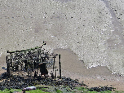 Abandoned shopping trolley in the River Thames in Essex