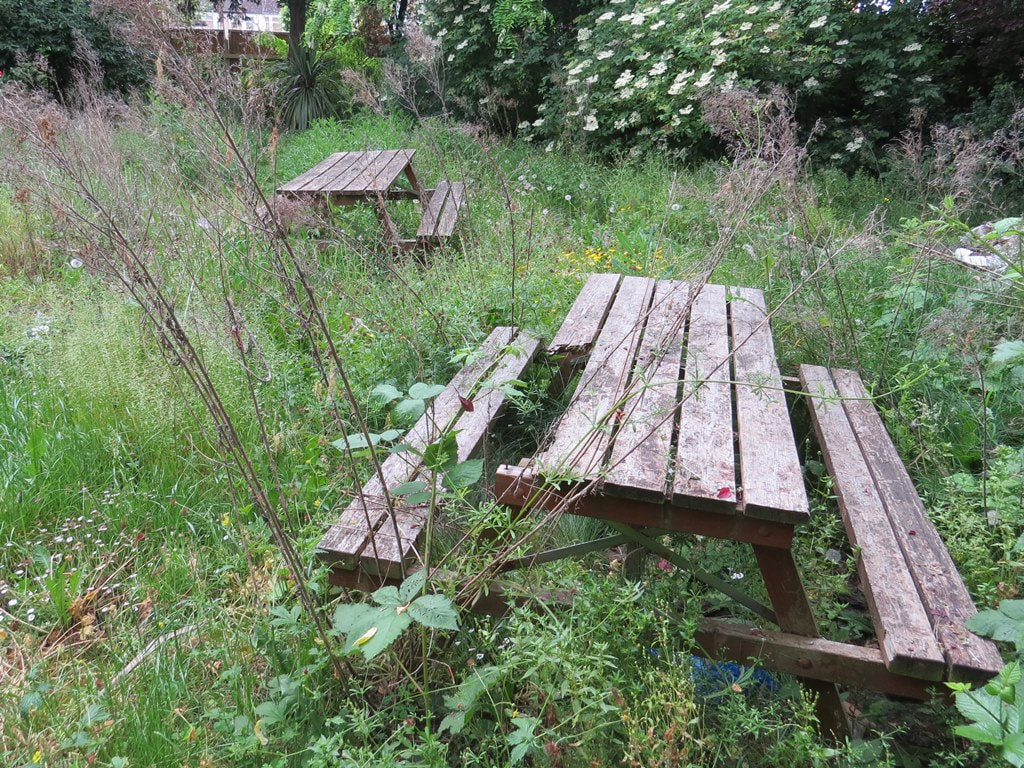 Overgrown pub garden and old benches at White Horse in Chadwell Heath, another dead pub